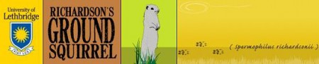 Richardson Ground Squirrel
